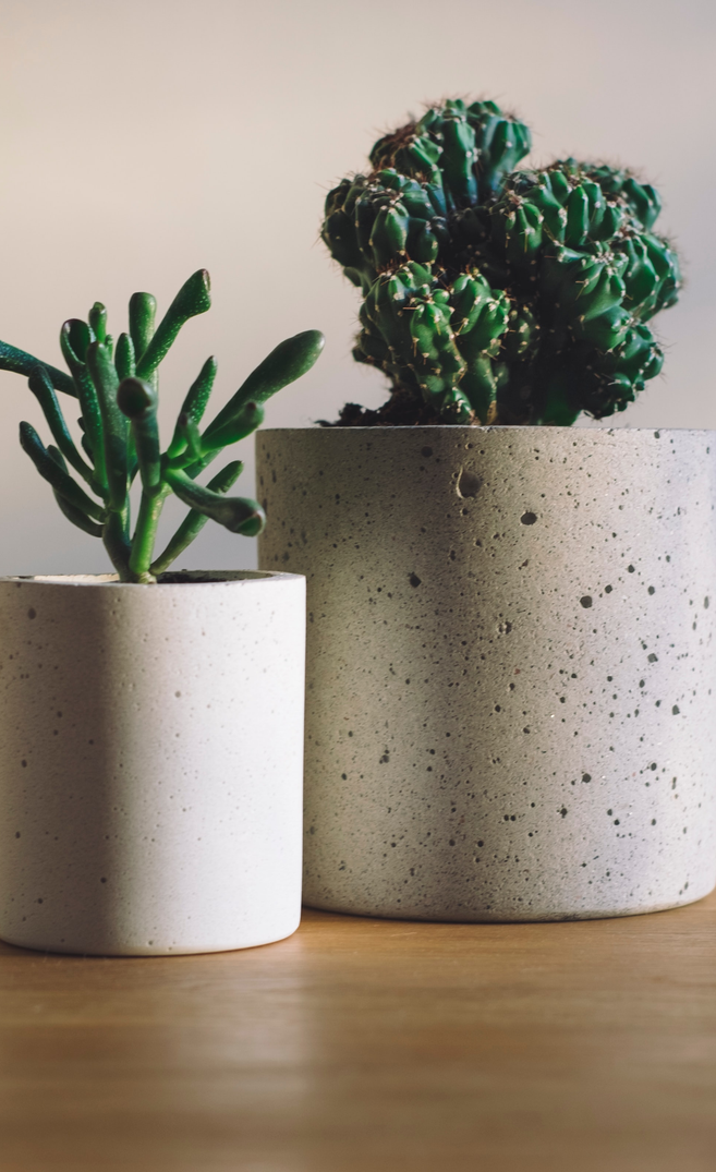 Auto generated site home improvement store